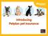 introducing Petplan pet insurance