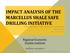 IMPACT ANALYSIS OF THE MARCELLUS SHALE SAFE DRILLING INITIATIVE