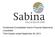 SABINA GOLD & SILVER CORP. Condensed Consolidated Interim Statements of Financial Position (Expressed in thousands of Canadian dollars)
