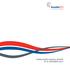 Consolidated Annual Report at 31 December 2011