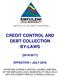 CREDIT CONTROL AND DEBT COLLECTION BY-LAWS