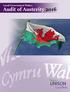 Local Government Wales: Audit of Austerity 2016