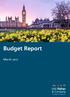 Budget Report March 2017
