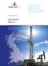 Half Yearly Report PRODUCTION, DRILLING, DEVELOPMENT AND INVESTMENT IN THE UNITED KINGDOM ONSHORE HYDROCARBON SECTOR. UNION JACK OIL plc
