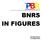 BNRS IN FIGURES. Monthly Report as of April 2016