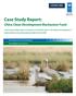Case Study Report: China Clean Development Mechanism