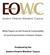 White Papers on the Financial Sustainability of Local Governments in Eastern Ontario. Produced by the Eastern Ontario Wardens Caucus