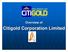 Overview of. Citigold Corporation Limited