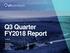 Q3 Quarter FY2018 Report