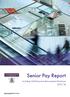 Senior Pay Report. Including Chief Executive Remuneration Disclosure 2017/18
