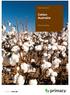 Cotton Crop Insurance. Cotton Australia. Policy wording. A company of