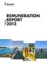 remuneration report 2013