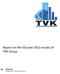 Report on the full year 2013 results of TVK Group