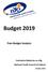 Budget Post-Budget Analysis. Comhairle Náisiúnta na nóg National Youth Council of Ireland