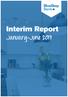 Interim Report. January-June 2017