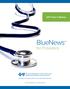 2017 Year in Review. BlueNewsSM. for Providers. Provider Relations and Education