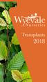 Wyevale Nurseries Transplants Division