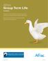 Aflac Group Term Life