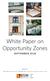 White Paper on Opportunity Zones