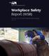 Workplace Safety Report (WSR)