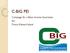 C-BIG PEI. Campaign for a Basic Income Guarantee for Prince Edward Island