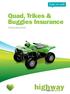 Quad, Trikes & Buggies Insurance