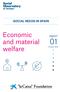 SOCIAL NEEDS IN SPAIN. Economic. report and material welfare