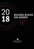 BUILDING BLOCKS FOR GROWTH INTEGRATED ANNUAL REVIEW