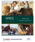 ARIES. MISFA-MFI Program Brief No. 3 AFGHANISTAN. Agriculture, Rural Investment and Enterprise Strengthening Program in Afghanistan