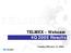 TELMEX - Webcast 4Q 2005 Results