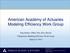 American Academy of Actuaries Modeling Efficiency Work Group