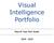 Visual Intelligence Portfolio. Payroll Year End Guide