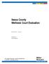 Itasca County Wellness Court Evaluation