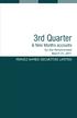 3rd Quarter. & Nine Months accounts PERVEZ AHMED SECURITIES LIMITED. for the Period ended March 31, 2011