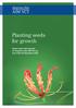 Planting seeds for growth. Annual report and accounts for Hargreave Hale AIM VCT plc year ended 30 September 2018
