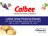 Calbee Group Financial Results