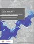 Executive Summary Introduction and Study Context Cecil County s Floodplain Flood Measurement Flood Levels...