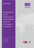 International Profit Shifting and Multinational Firms in Developing Countries