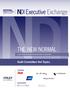 NDI Executive Exchange