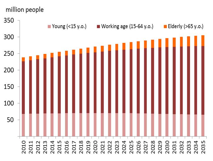 Demographic bonus, rising middle-class Back Indonesia is currently enjoying a demographic dividend era.