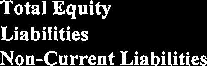 Equity Liabilities Non-Current Liabilities (a) Financial liabilities: (i) Borrowings