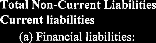 Borrowings (ii) Trade payables (iii) Other financial Liabilities (b) Other current