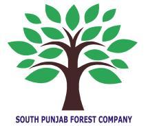 South Punjab Forest Company (SPFC), Government of the Punjab Incorporation of SPV TRANSACTION