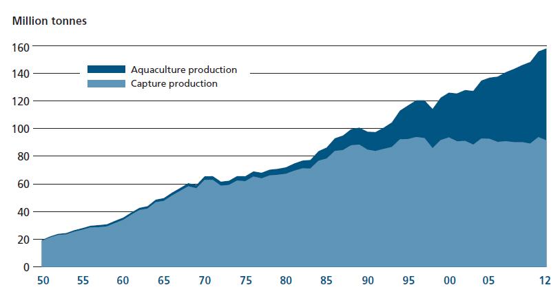 World capture fishers and aquaculture production Source: Food and Agriculture Organization of the United Nations-http://www.fao.org/3/ai3720e/i3720e01.