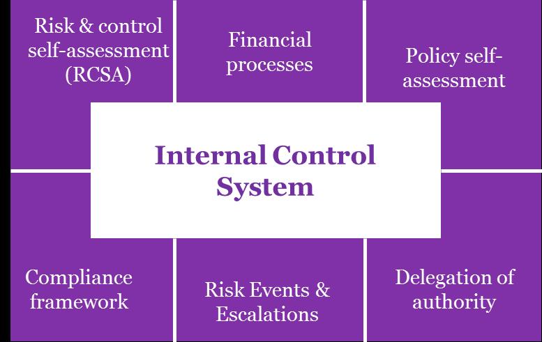 internal control environment.