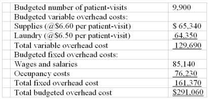 23. Gummer Hospital bases its budgets on patient-visits.
