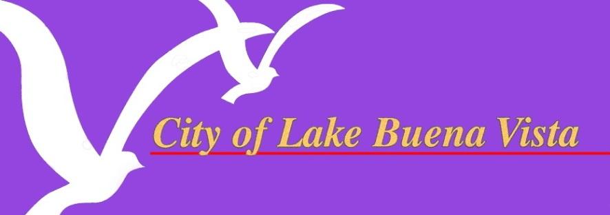 CITY OF LAKE BUENA VISTA, FLORIDA ANNUAL FINANCIAL