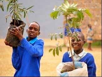 Green Initiative Challenge (GIC) Project Started as a pilot with 81 schools Currently has 201 participating schools Targeting 1000 schools Total Investment: USD
