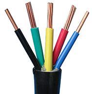 Our cables and wires are used for lighting purpose both in: Commercial & Residential buildings FLEXIBLE CABLES As per the varied requirements of clients, we are engaged in offering a wide assortment