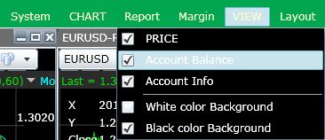 5. Account Balance and Open position 5.1 Account Balance Click VIEW from main window menu, choose Account Balance. Account balance status is duly displayed.